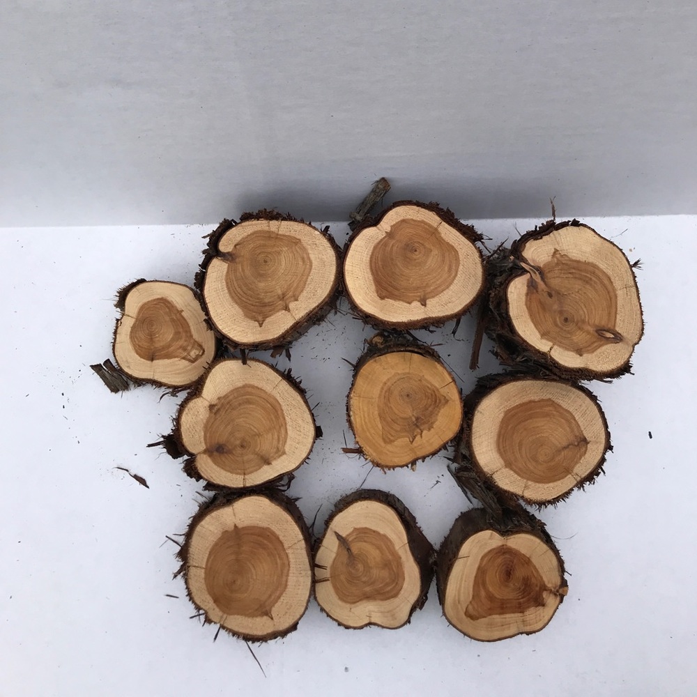10 ct. Texas Hill Country Cedar Tree Wood Slices - Picture 2 of 3